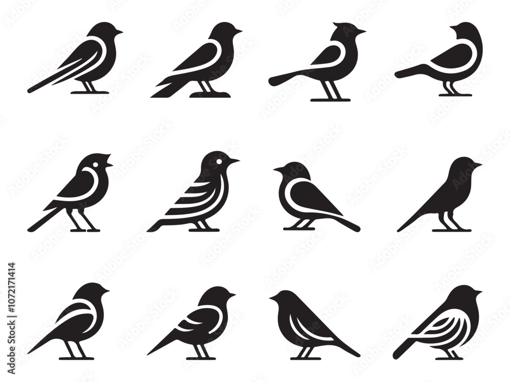 Fototapeta premium Set of bird vector illustration