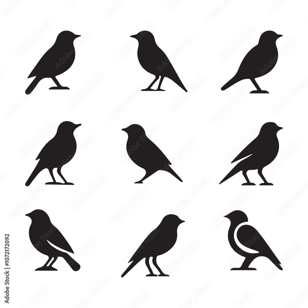 Set of bird vector illustration Set of bird vector illustration