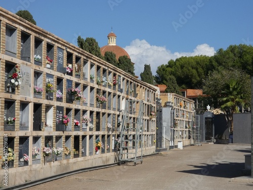 Nichos en cementerio decorados con flores