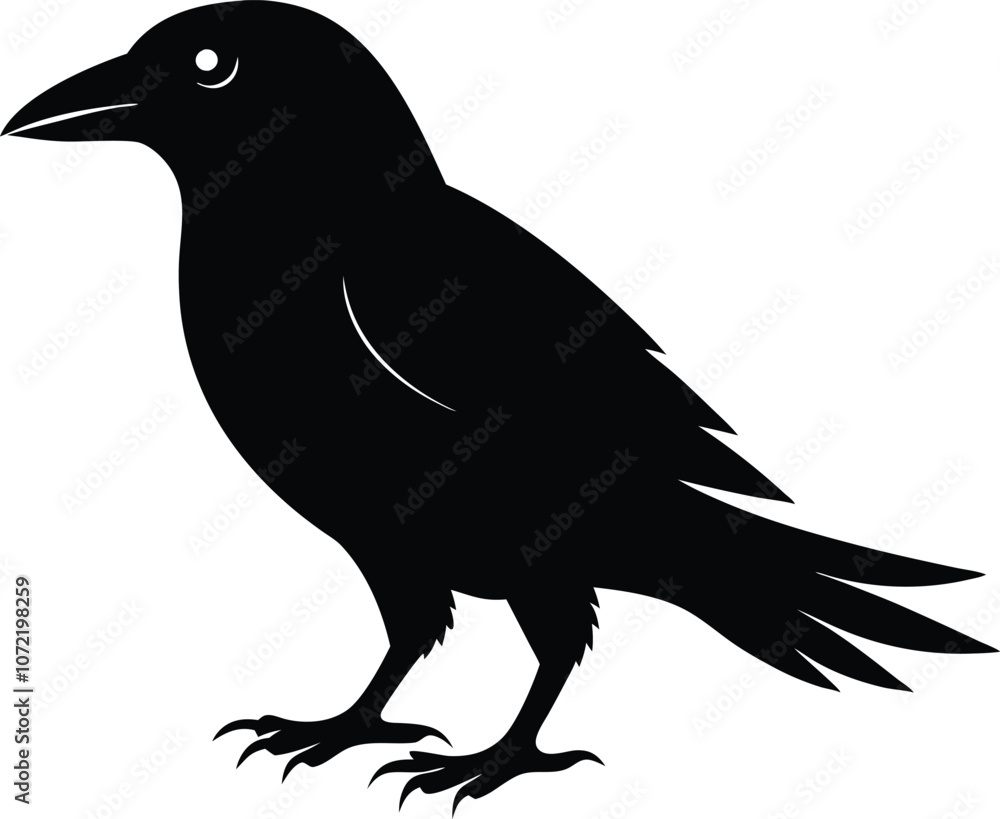 Fototapeta premium black bird silhouette,animal silhouette vector illustration 