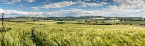Barley on the Downs Panorama