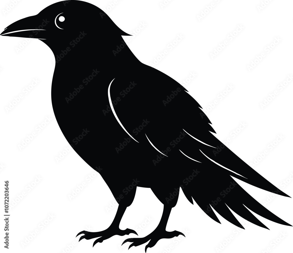 Naklejka premium black bird silhouette,animal silhouette vector illustration 