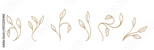 Delicate botanical leaf designs on a white background