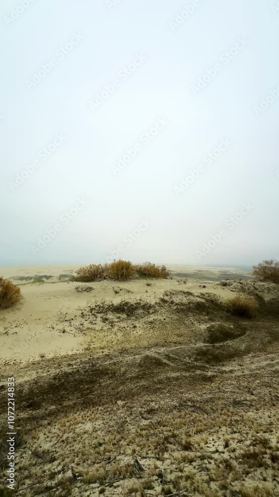 An expansive view of the sandy dunes at Efa Height on the Curonian Spit, with sparse vegetation and distant pine trees along the horizon. The soft, overcast sky enhances the tranquil atmosphere of An expansive view of the sandy dunes at Efa Height on the Curonian Spit, with sparse vegetation and distant pine trees along the horizon. The soft, overcast sky enhances the tranquil atmosphere of