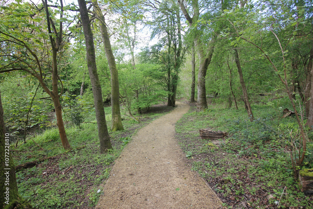 Queens Hill Costessey Norwich, United Kingdom, April 24, 2024. Views from Queens Hill Forest Queens Hill Costessey Norwich, United Kingdom, April 24, 2024. Views from Queens Hill Forest