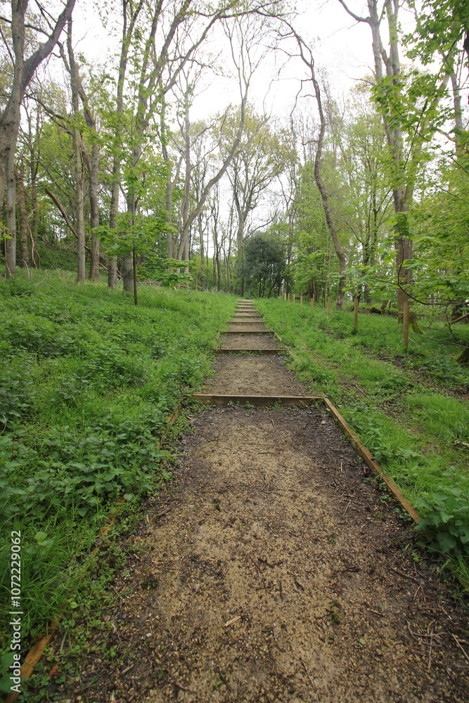 Queens Hill Costessey Norwich, United Kingdom, April 24, 2024. Views from Queens Hill Forest