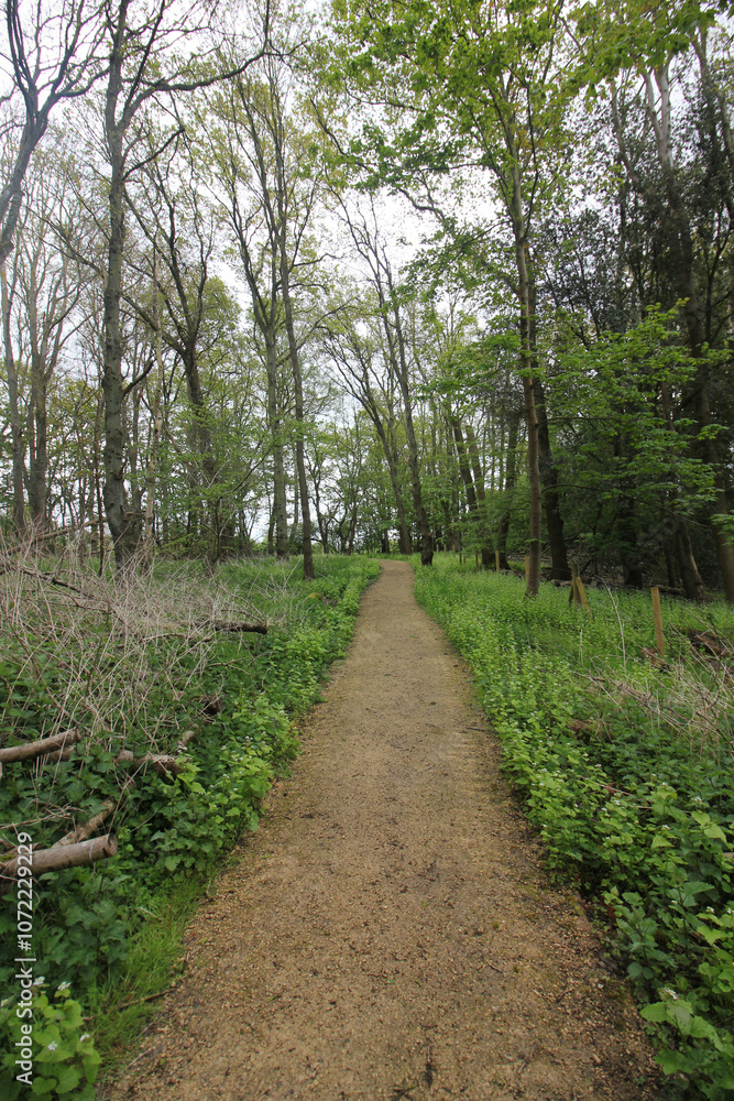Queens Hill Costessey Norwich, United Kingdom, April 24, 2024. Views from Queens Hill Forest Queens Hill Costessey Norwich, United Kingdom, April 24, 2024. Views from Queens Hill Forest