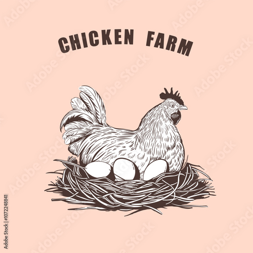 Laying hen sitting on eggs. Chicken farm. Vector illustration in line style
