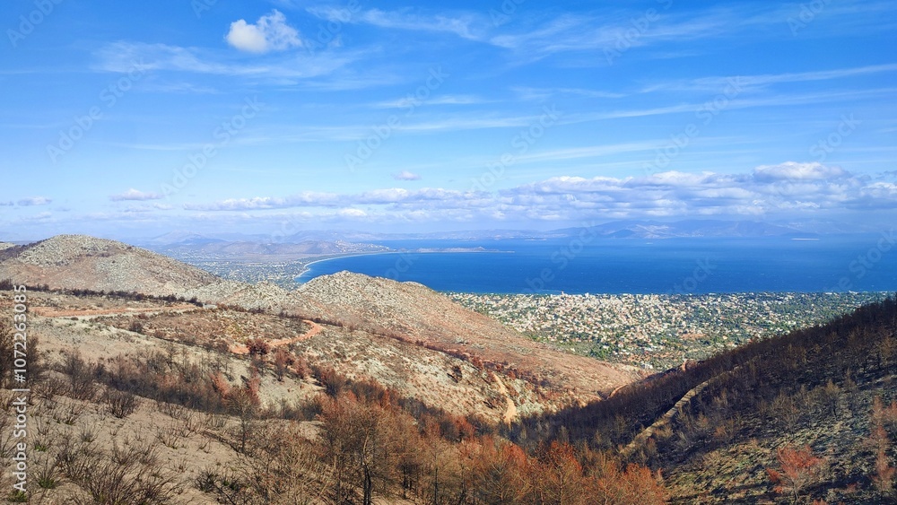 Fototapeta premium Photo of the charred slopes of Mount Pentelicus in Dionysos, with a view over the scenic coastal town of Nea Makri in East Attica, Greece. The landscape showcases the extensive damage in the area.
