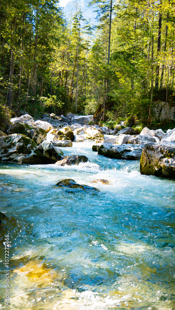 Naklejka premium Zauberwald am Hintersee