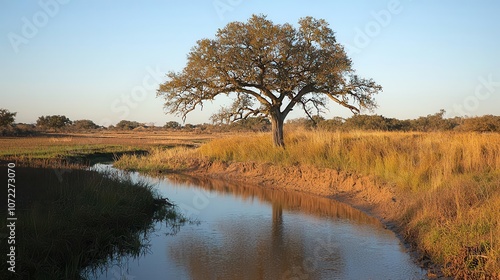 A serene landscape featuring a solitary tree by a peaceful river at sunset. photo