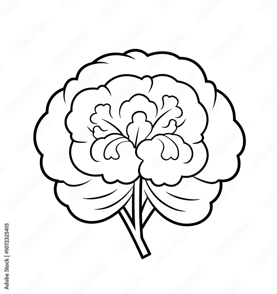 Minimalist cauliflower logo. Stylish and modern design, perfect for branding food, restaurants or farms. Minimalist cauliflower logo. Stylish and modern design, perfect for branding food, restaurants or farms.