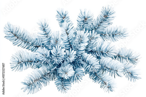 beautiful watercolor illustration of blue spruce branches, showcasing their delicate needles and natural beauty. Perfect for nature lovers and art enthusiasts