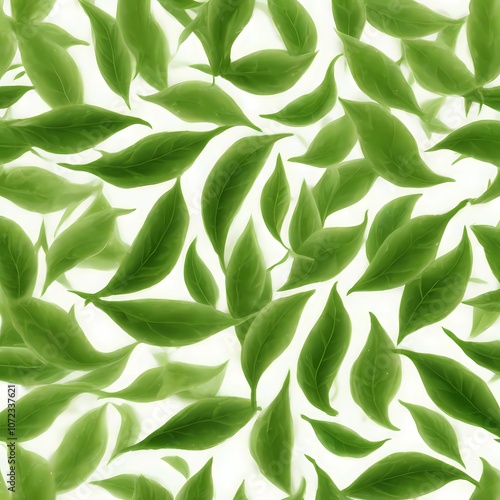 green leaves illustration on white background, green leaves background
