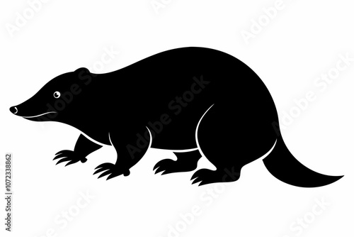 Mole Rat Small Cylindrical Body with Large Teeth Silhouette Vector Illustration,Illustration of Mole silhouette isolated,Silhouette mole animal black color only full body.