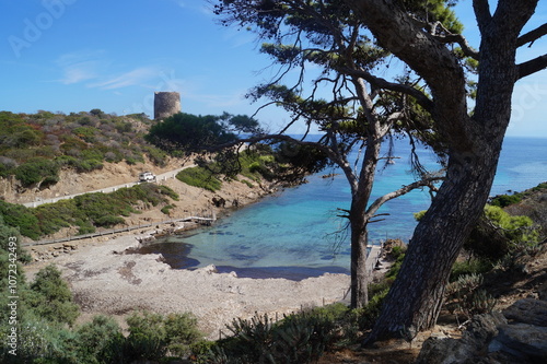 Sardegna