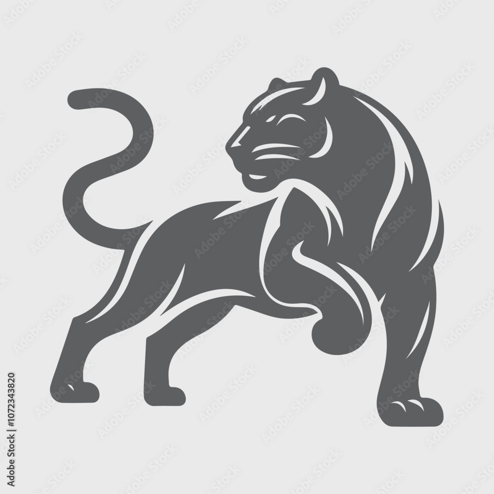black and white tiger black and white tiger