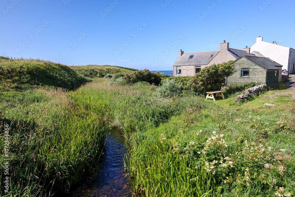 Orkney, Scotland - August 6, 2024: Sheep and farmhouses on the island of Orkney in Scotland
Orkney, Scotland - August 6, 2024: Sheep and farmhouses on the island of Orkney in Scotland