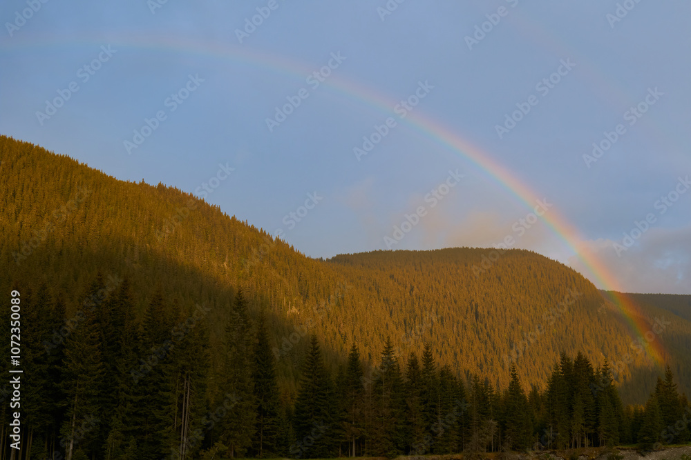 Rainbow over a pine forest in Obarsia Lotrului, Romania Rainbow over a pine forest in Obarsia Lotrului, Romania