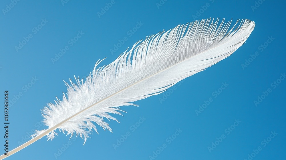 A Delicate White Feather Resting Gently on a Calm Blue Background, Evoking Beauty and Grace A Delicate White Feather Resting Gently on a Calm Blue Background, Evoking Beauty and Grace