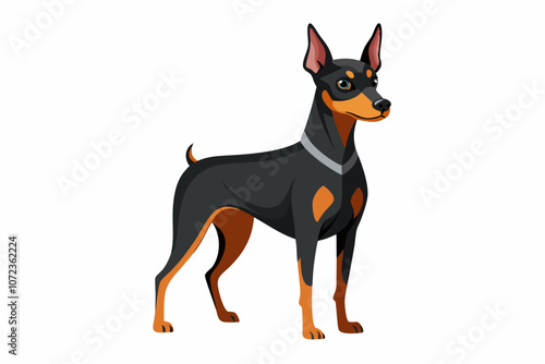 Shepard dog isolated on white background vector art illustration