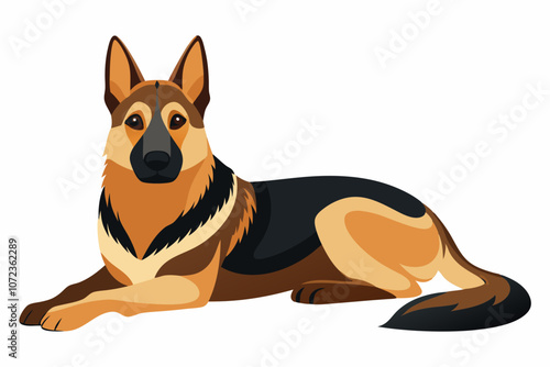 Shepard dog isolated on white background vector art illustration photo