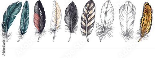 Elegant Collection of Hand-Drawn Multicolored Feathers on White