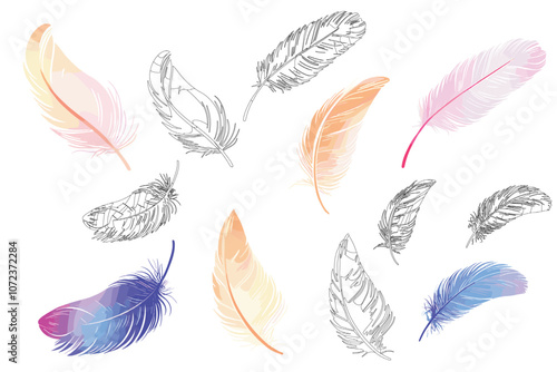Colorful Artistic Feather Illustrations With Vibrant Pastel Hues