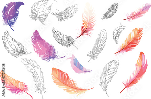 Vibrant And Detailed Feather Illustrations On White Background