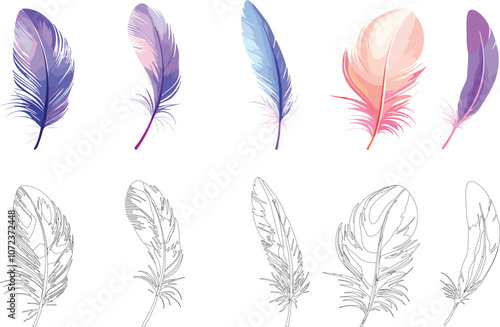 Colorful And Sketch Feather Collection On White Background