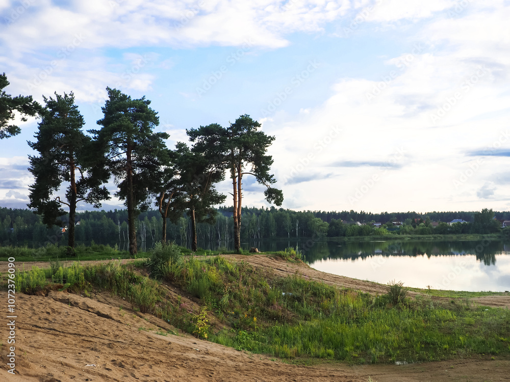 Summer landscape pine trees on the shore of a lake, Russia