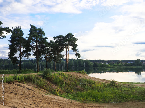 Obraz na płótnie Summer landscape pine trees on the shore of a lake, Russia w salonie