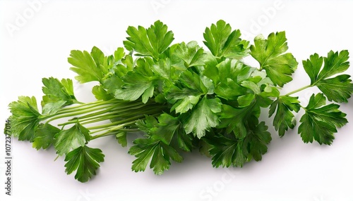 parsley isolated on white transparent background bunch of fresh parsley