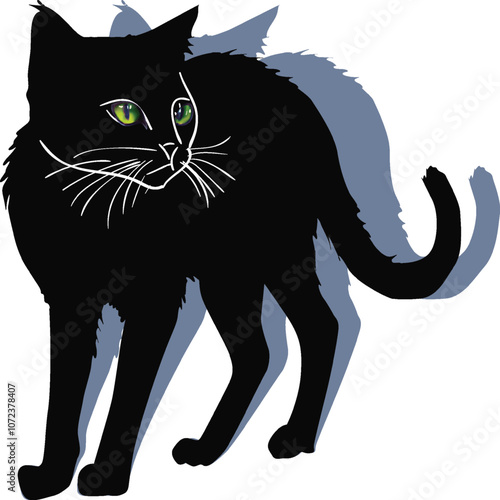 standing black cat with shadow on white