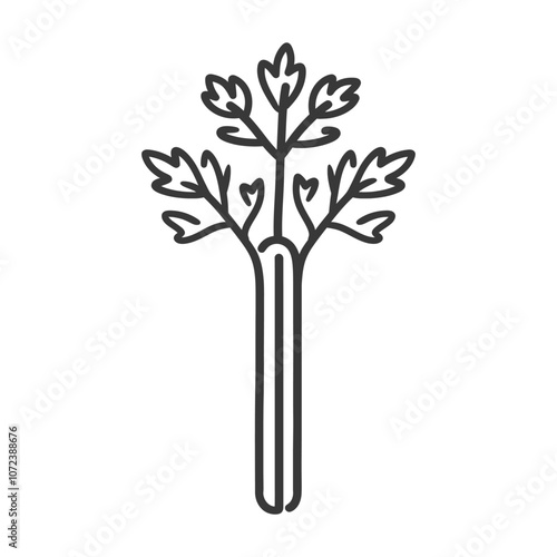 Line drawing of a single stalk of celery with leaves