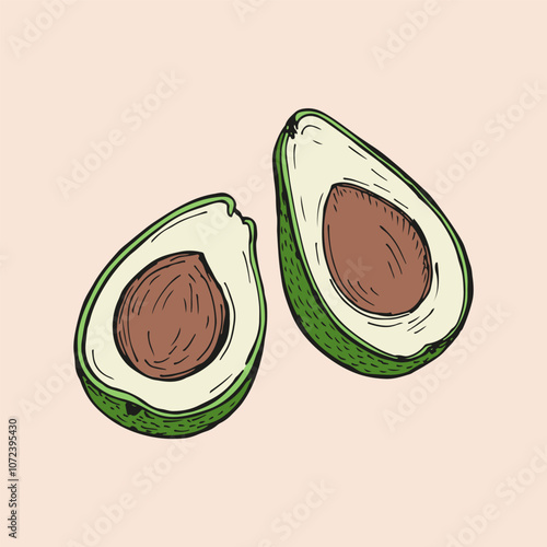 Avocado sketch outline illustration. Simple doodle drawing in engraving style. Hand drawn vector line art clipart isolated on beige background