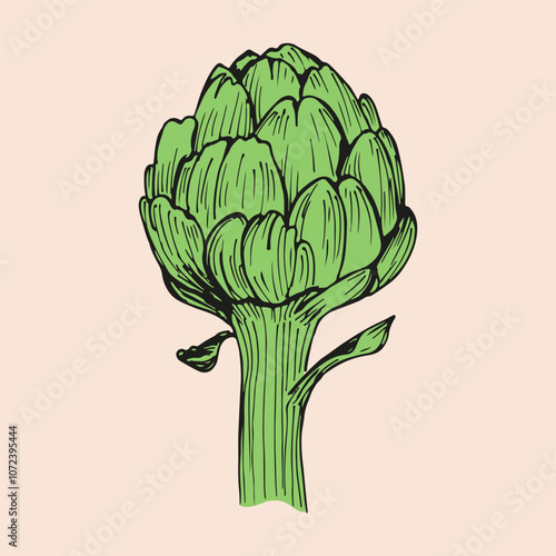 Artichoke sketch outline illustration. Simple doodle drawing in engraving style. Hand drawn vector line art clipart isolated on beige background