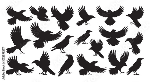 Raven and crow silhouette vector set design
