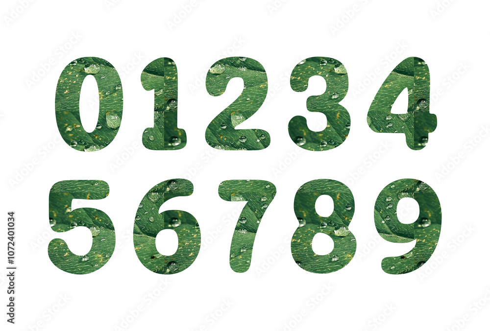Collection of numbers 0-9. With green leaves with water droplets fulfill its character. Zero to nine numbers. Collection of numbers 0-9. With green leaves with water droplets fulfill its character. Zero to nine numbers.