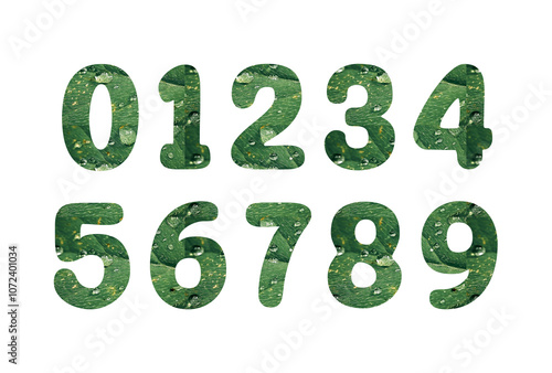 Collection of numbers 0-9. With green leaves with water droplets fulfill its character. Zero to nine numbers.