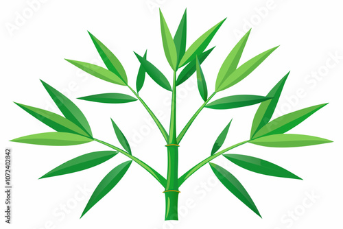 Palm leaf fern background