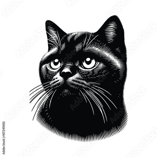 Cute Cat Black Vector,SVG