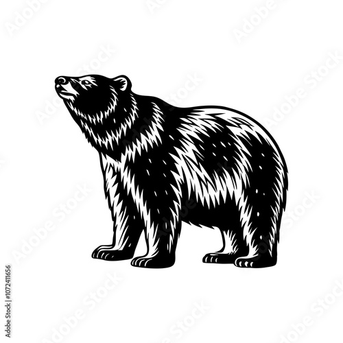 Bear silhouette