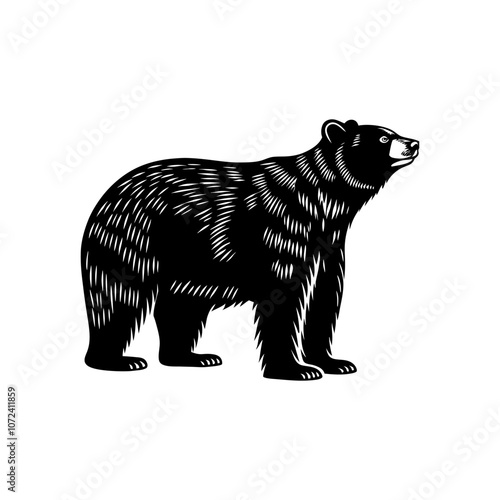 Bear silhouette