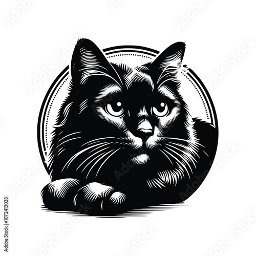 Cute Cat Black Vector,SVG