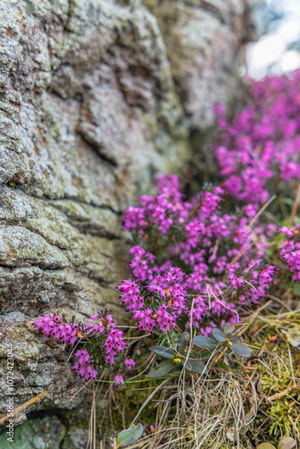 Krizky National Natural Monument, Western Bohemia, Czech Republic photo