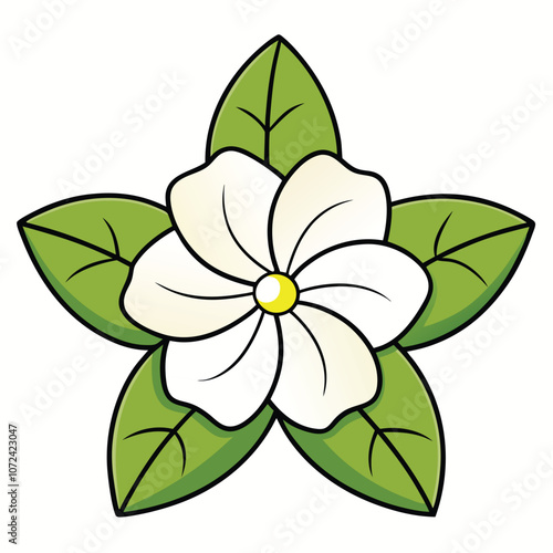 Gardenia Flower flat vector botanical illustration.