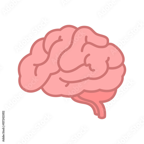 Brain vector icon. Human brain isolated on white.