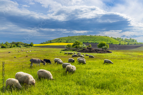 Tableau sur toile Typical landscape near Ranna, Ceske Stredohori, Northern Bohemia, Czech Republic
