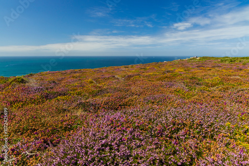 Landscape in Cap de la Chevre, Crozon, Brittany, France